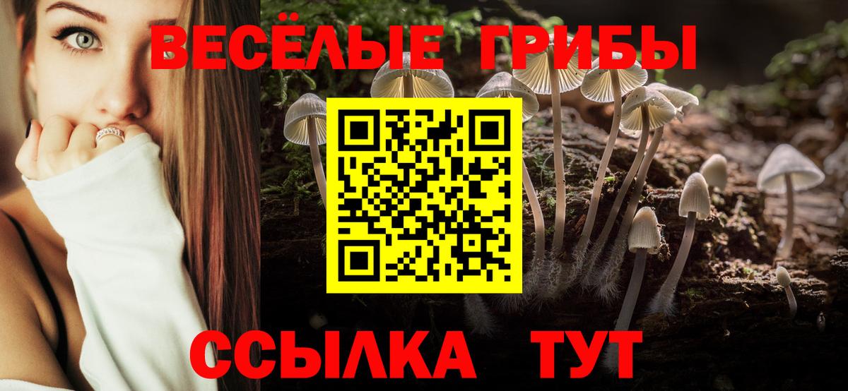 Пугачёв  Псилоцибиновые грибы Psilocybe  продажа наркотиков  Вход с VPN 